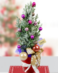 Mauve snowy fir – imaginea 1