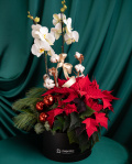 Arrangement with euphorbia and phalaenopsis – imaginea 3