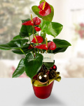 Christmas arrangement with anthurium – imaginea 1