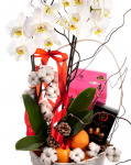 Deluxe gift basket – imaginea 2