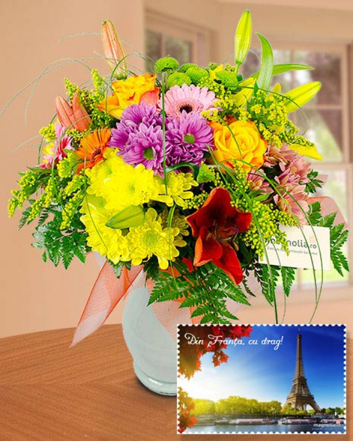 Colored Surprise from France – imaginea 1