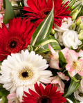 Ilinca Bouquet – imaginea 2