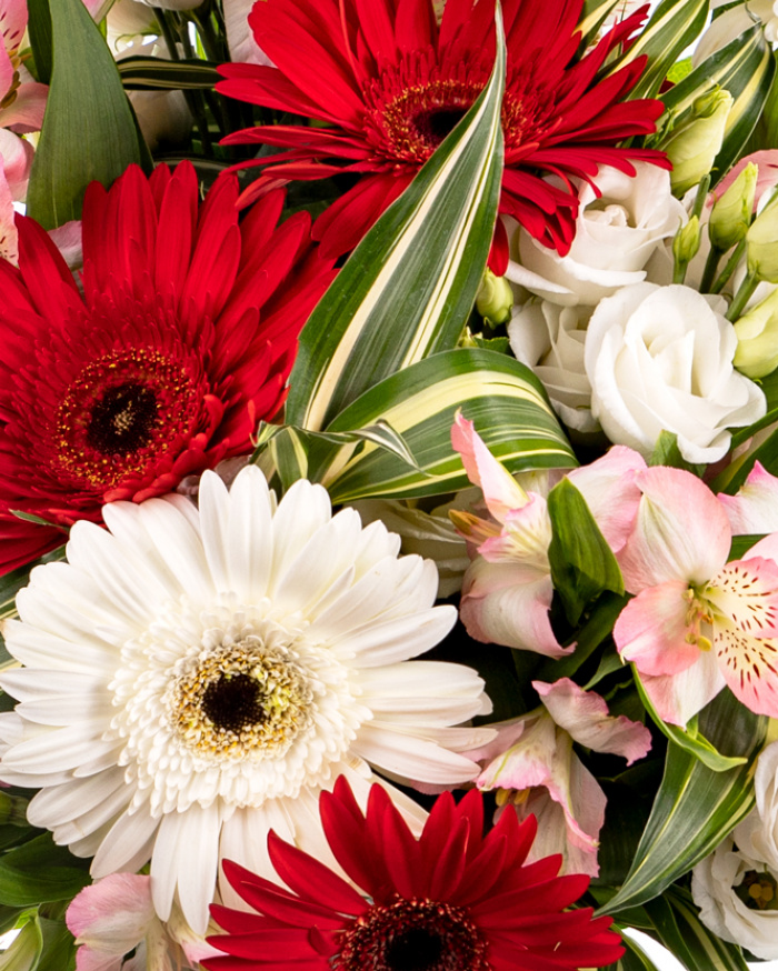 Ilinca Bouquet – imaginea 2