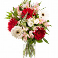 Buchet Ilinca