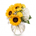 Buchet cu floarea-soarelui şi hortensii