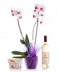 Aranjament orhidee Phalaenopsis roz – imaginea 1
