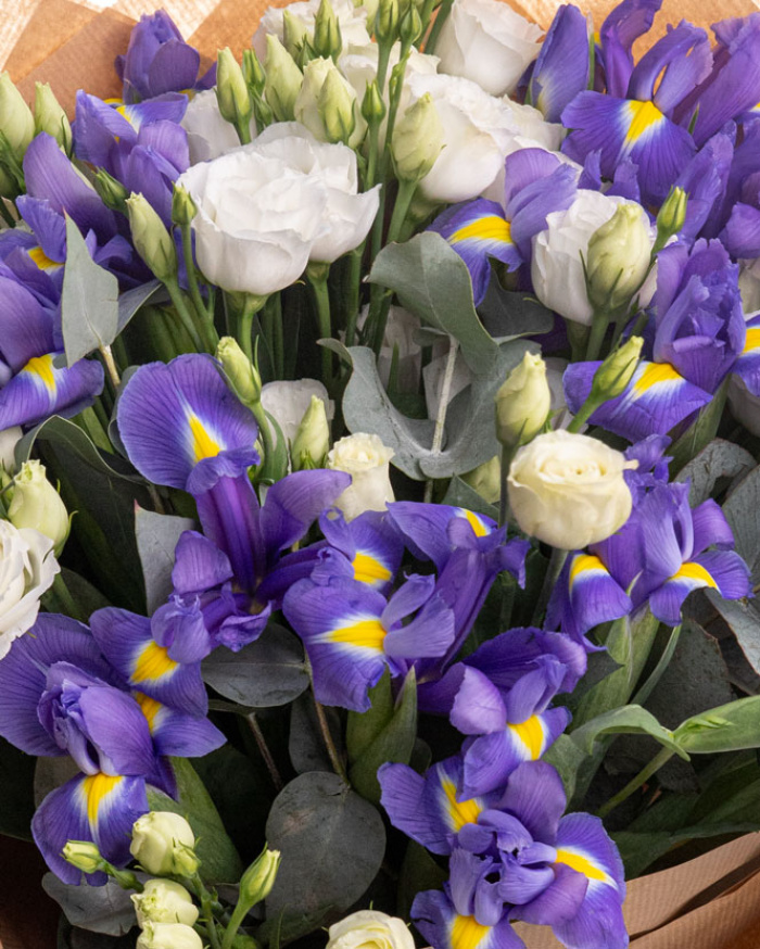 Bouquet of irises – imaginea 2