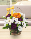 Cosulet cu gerbera si eustoma – imaginea 1