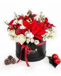 Winter arrangement with accesories – imaginea 1