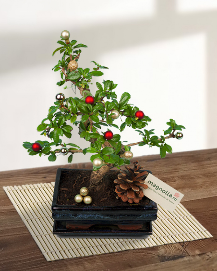 Bonsai decorat cu globuri – imaginea 1