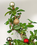 Bonsai decorat cu globuri