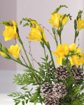 Winter bouquet of freesias – imaginea 2