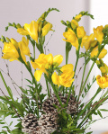 Buchet de iarna cu frezii – imaginea 2