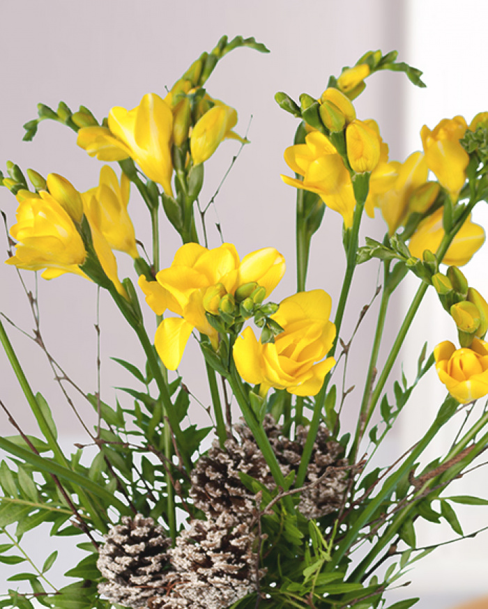 Buchet de iarna cu frezii – imaginea 2