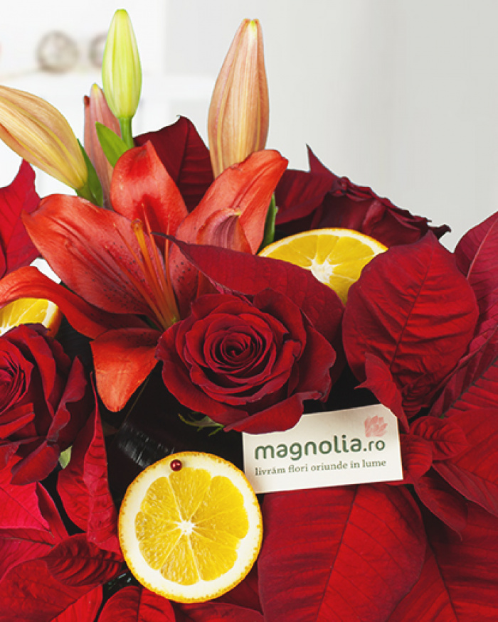 Bouquet of red flowers and euphorbia – the image 2
