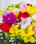 Box with freesias and tulips – imaginea 2