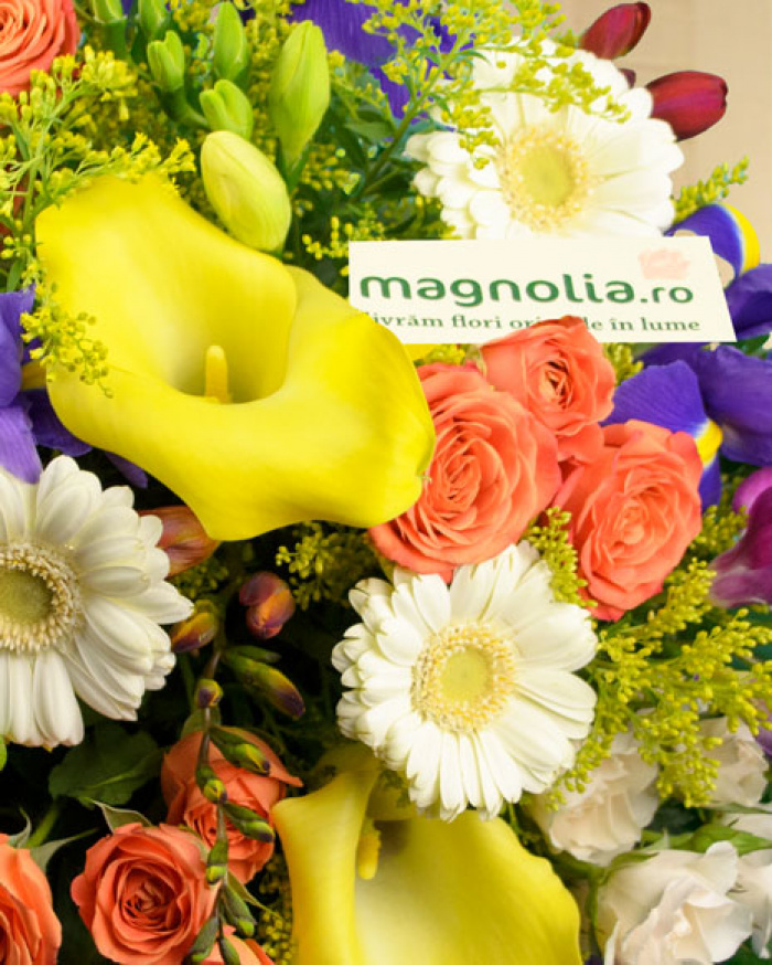 Buchet cu cale, irisi si frezii – imaginea 2