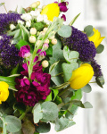 Bouquet of tulips and trachelium – the image 2