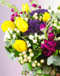 Bouquet of tulips and trachelium – the image 2
