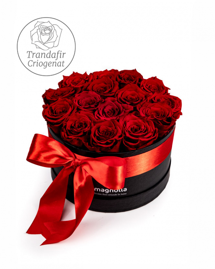 Trandafiri criogenati rosii in cutie neagra – imaginea 1