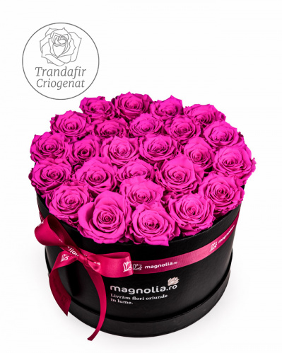 Pink preserved roses in black box