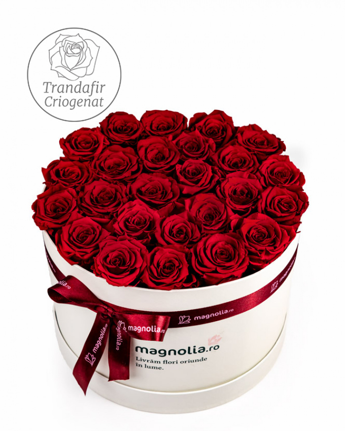 Trandafiri criogenati rosii in cutie – imaginea 1
