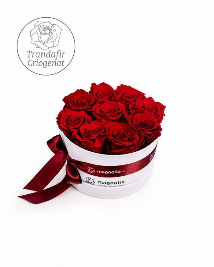 Trandafiri criogenati rosii in cutie – imaginea 1