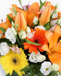 Cos cu crini si gerbera – imaginea 2