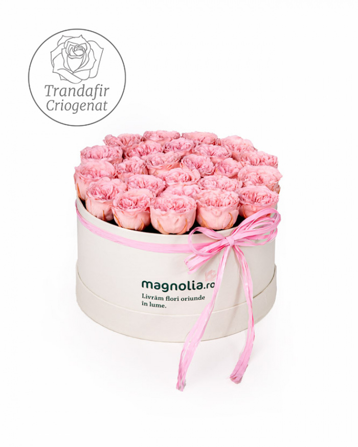 English preserved roses in box – imaginea 1