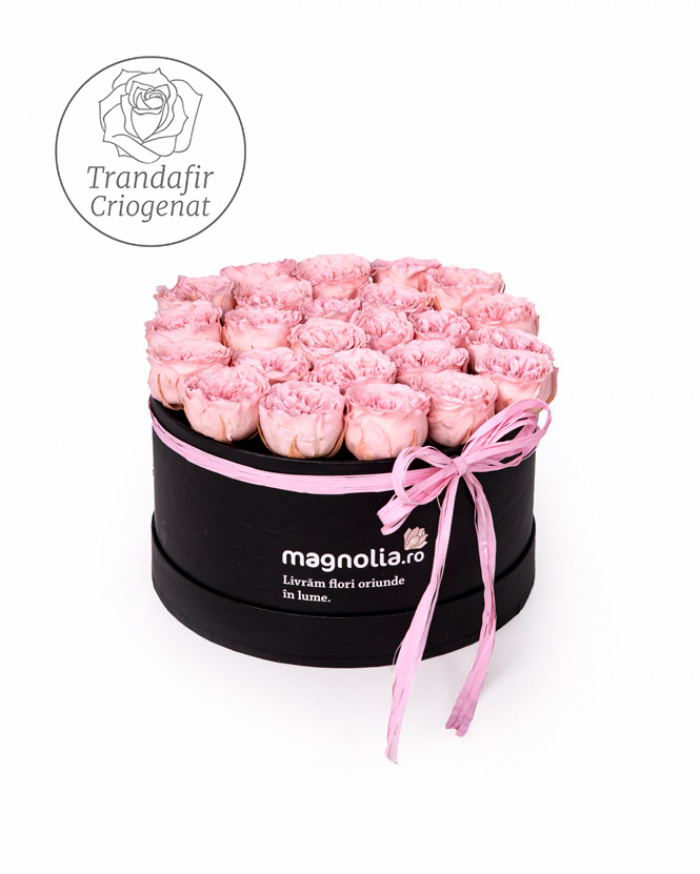Cutie cu trandafiri criogenati englezesti – imaginea 1