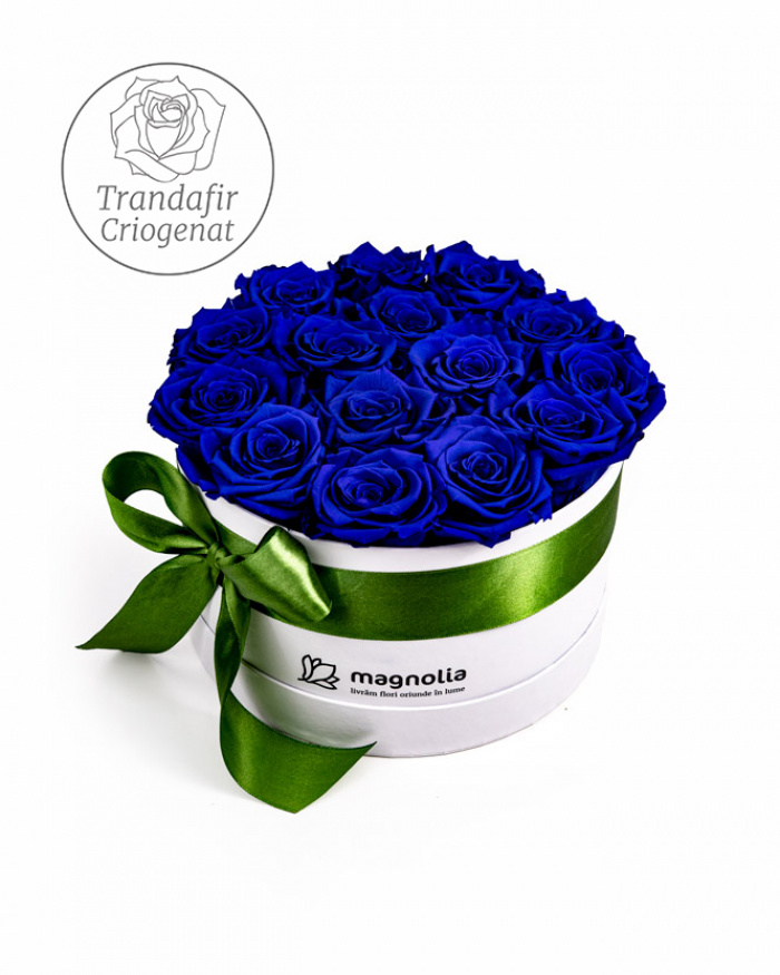 Cutie cu trandafiri criogenati albastri – imaginea 1