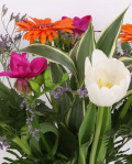 Buchet cu lalele si frezii – imaginea 2