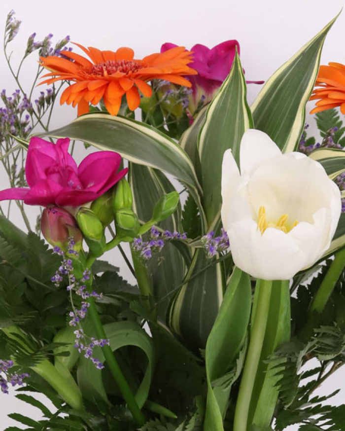 Buchet cu lalele si frezii – imaginea 2