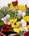 Box with germini and freesias – imaginea 2
