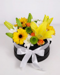 Box with yellow germinis – imaginea 1