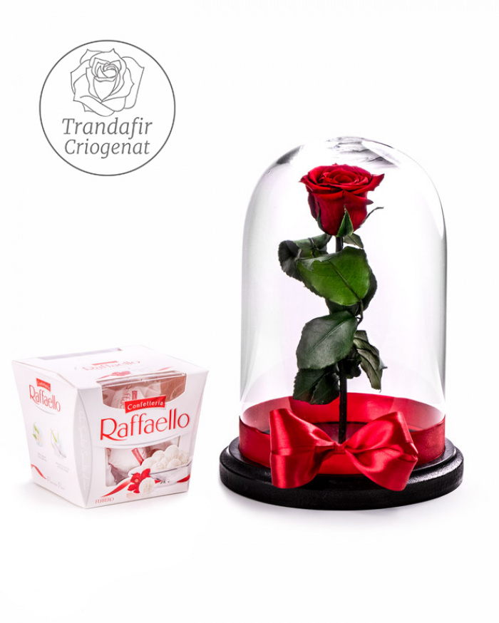 Cryogenic Rose Fairytale Gift – imaginea 1