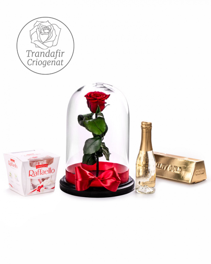 Cryogenic Rose Fairytale Gift – imaginea 1