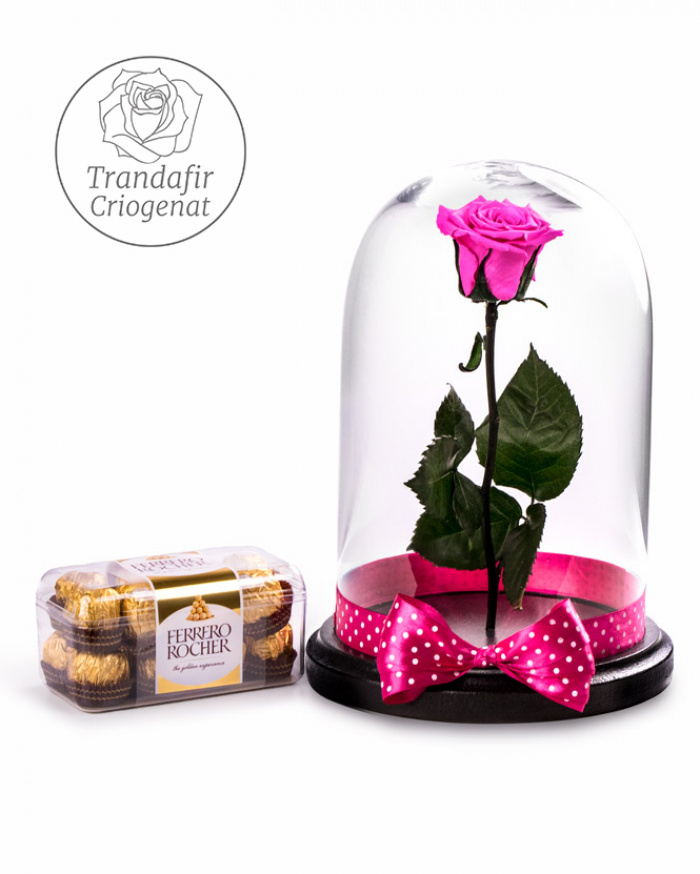 Pink preserved rose – imaginea 1