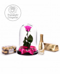 Pink preserved rose – imaginea 1