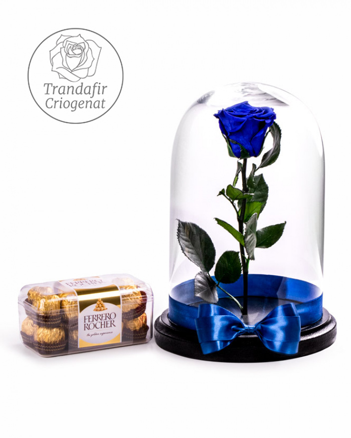 Blue preserved rose – imaginea 1