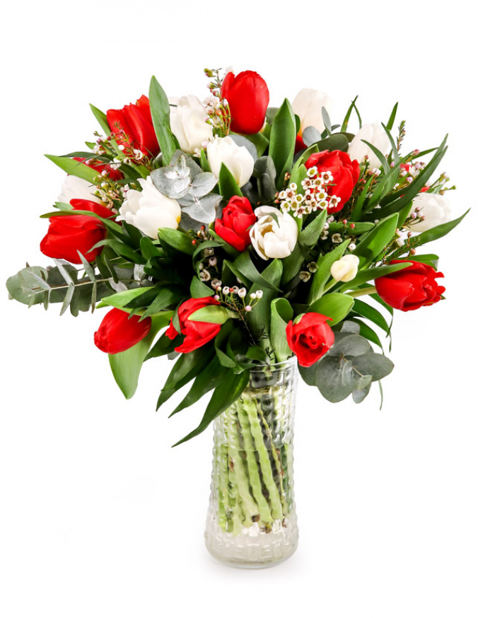 White and red tulip bouquet – imaginea 1