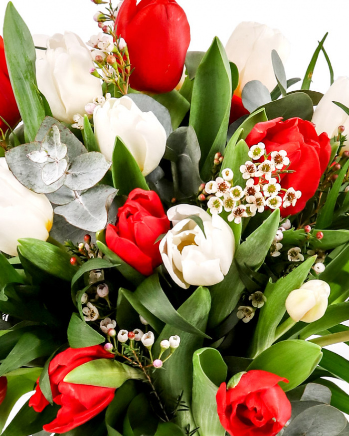 White and red tulip bouquet – imaginea 2