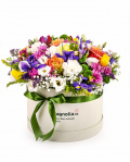Cutie cu flori multicolore – imaginea 1