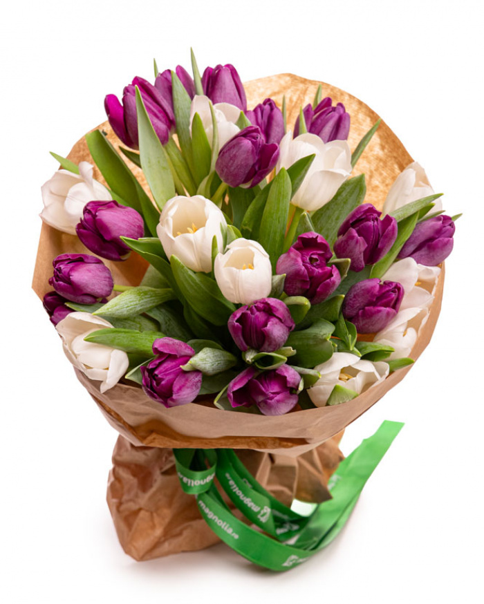 Purple and white tulip bouquet – imaginea 1