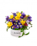 1st March flower arrangement – the image 1