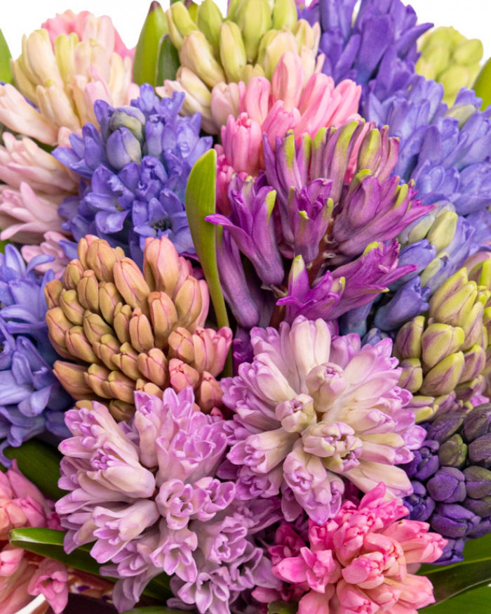 Buchet cu zambile parfumate – imaginea 2