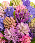 Buchet cu zambile parfumate