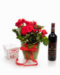 Red begonia in a decorative pot – imaginea 1