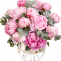 Buchet bujori