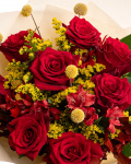Bouquet with roses and craspedia – the image 2